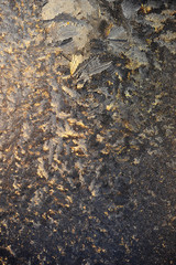 Frost and ice crystals on window glass. Winter background.