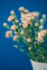 Bouquet roses in a bunch on a blue bachground. Low depth