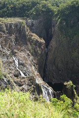 キュランダ　熱帯　雨林　シーニックレールウェイ　鉄道　バロンフォールズ