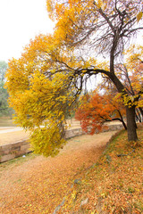 Naklejka premium Color trees in chengde mountain resort, China