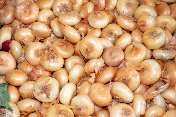 Zwiebeln auf dem Markt