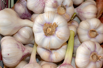 Knoblauch auf dem Markt