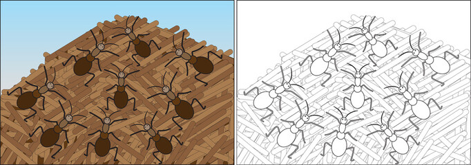 Coloring book for children. Ants are crawling on the anthill, cartoon. Vector illustration.