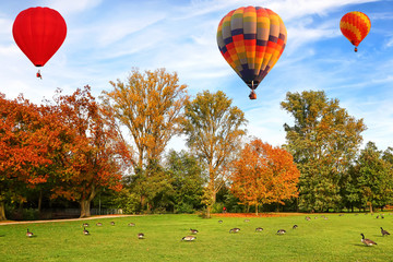 Beautiful golden autumn landscape. Colorful hot air balloons flying in the bright blue sky....
