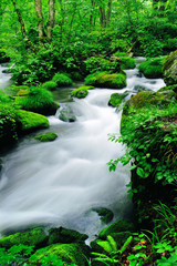 奥入瀬渓流（青森県・十和田市）