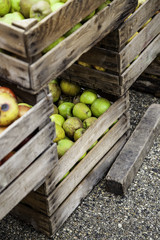 Fototapeta na wymiar Apples in wooden boxes