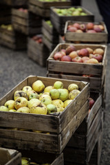 Apples in wooden boxes