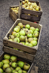 Apples in wooden boxes
