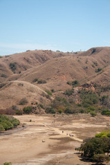 Group of tourists on a hot and dusty trail searching for Komodo dragons on Komodo Islands, Indonesia