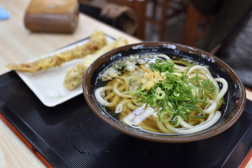 日本の美味しいうどん