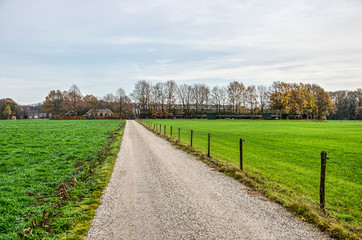 Fototapeta na wymiar Garvel road near Zutphen, The Netherlands, lieading through green meadows and through a hamlet with some farms and barns