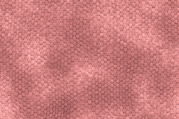 Fototapeta premium Lizard skin texture