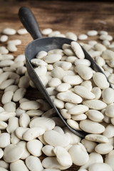 Dried white bean.