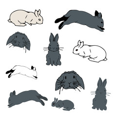 set of hares and rabbits silhouette