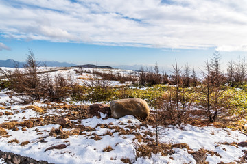 Naklejka premium 雪がかった牧場