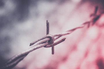 Obraz premium Old electrified fence with barbed wire bloody gradient. Terror jail concept. Marco view.