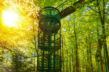 Manmade structure and bridge to experience a treetops adventure challenge in a forest