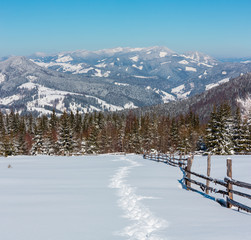 Winter morning Carpathian mountains, Ukraine