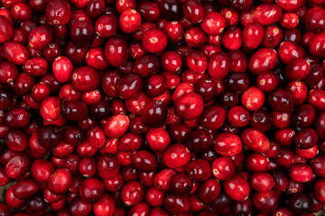 Cranberry background