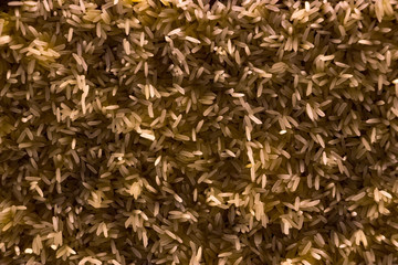 Raw organic yellow rice in Thailand. (Khao Leung Pa Tew Chumphon) Yellow rice.