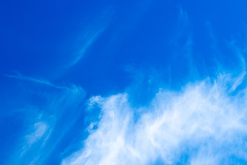 The blue sky with the white clouds in the sunny day. 