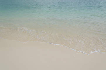 Tropical Landscapes From The Sea