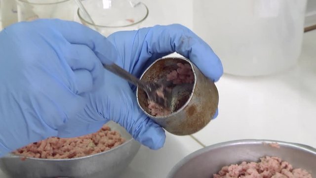 Lab worker analyzing meat sample magnifying glass. Laboratory studies of meat and meat products. Checking meat for compliance with sanitary requirements.