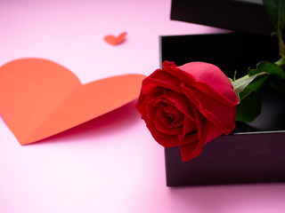 Red roses with gift box on pink paper