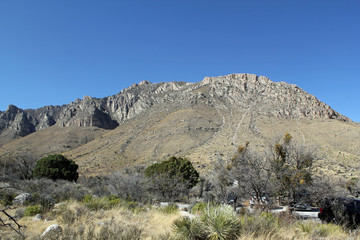 Fototapeta na wymiar Fels Landschaft in Texas / Guadalupe Mountains Nationalpark