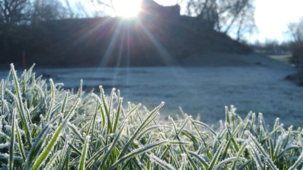 Rural morning, the rays of the sun and the grass covered with frost - obrazy, fototapety, plakaty