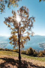 Aussicht vom Berg Cimetta über Locarno, Ascona am Lago Maggiore, Tessin, Schweiz.