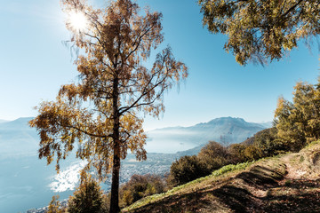 Aussicht vom Berg Cimetta über Locarno, Ascona am Lago Maggiore, Tessin, Schweiz.