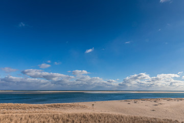 Fototapeta na wymiar Coastline with sandy beach at Cape Cod in winter