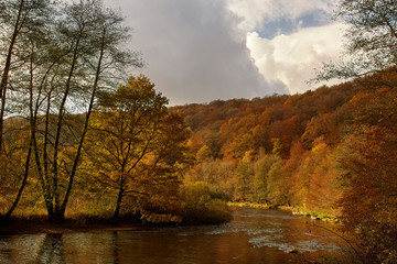 River Semois in Autumn Colorful Ardennes