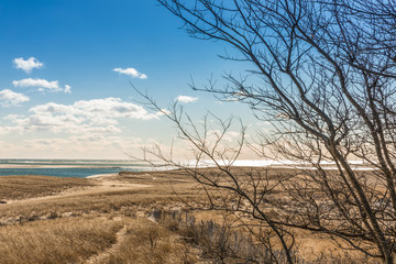 Coastline with sandy beach at Cape Cod in winter