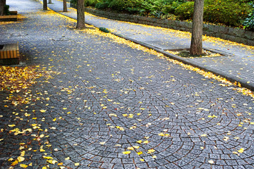 銀杏の落ち葉が散る石畳の歩道