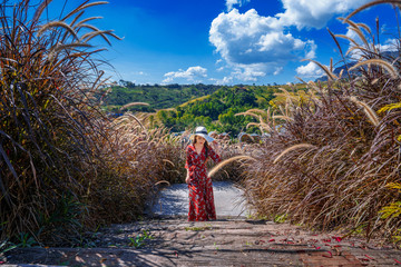 Young woman walking on wooden path.