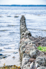 Förde