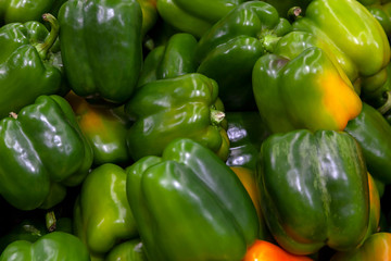 Obraz na płótnie Canvas Green, ripe, colorful Bulgarian peppers with yellow specks on the sides are laid out in a small pile on the counter at the vegetable market. Background for vegetarian wallpaper.