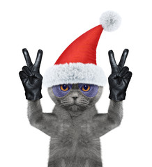 Santa cat with two victory fingers. Isolated on white
