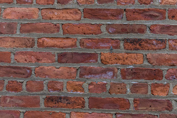 Obraz premium Old brick wall background
