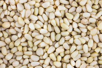 seeds cones cedar nuts light beige background many fruits design culinary nutritive base