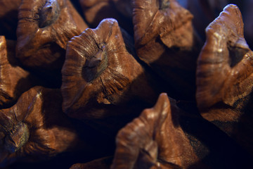 macro of a pinecone