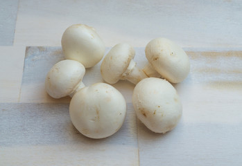 Mushrooms on wooden background