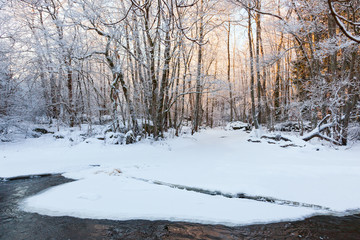 Sunrise in the winter forest at the river