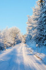 Winter forest road with snow and frost in the landscape