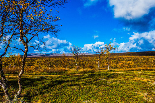 Kevo Trail Finnland