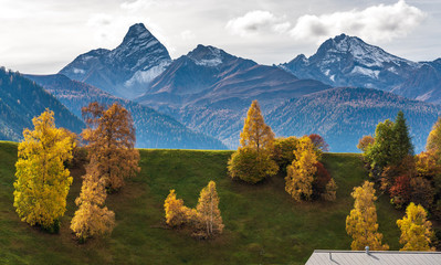 Schweiz - Graubünden - Herbst in Davos