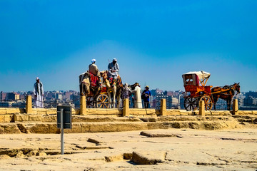 Horse and cart, Giza, Cairo