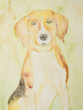 Beagle portrait on a goldgreen background. The dabbing technique near the edges gives a soft focus effect due to the altered surface roughness of the paper..